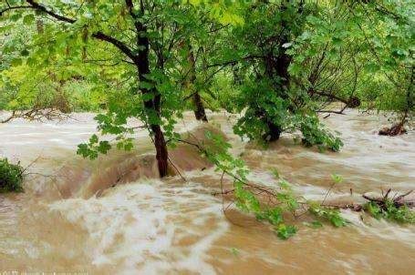 夢見淹大水|夢見洪水、發大水